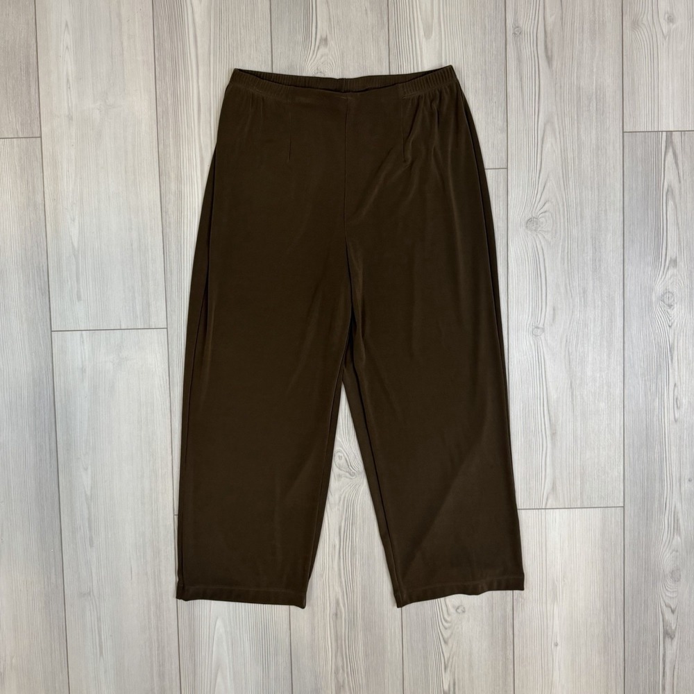 Additions By Chico's Size 2 Large Black Pull On Ankle Pants Stretch